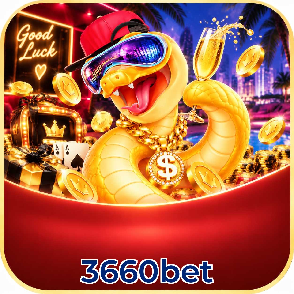 3660bet Streaming Quality