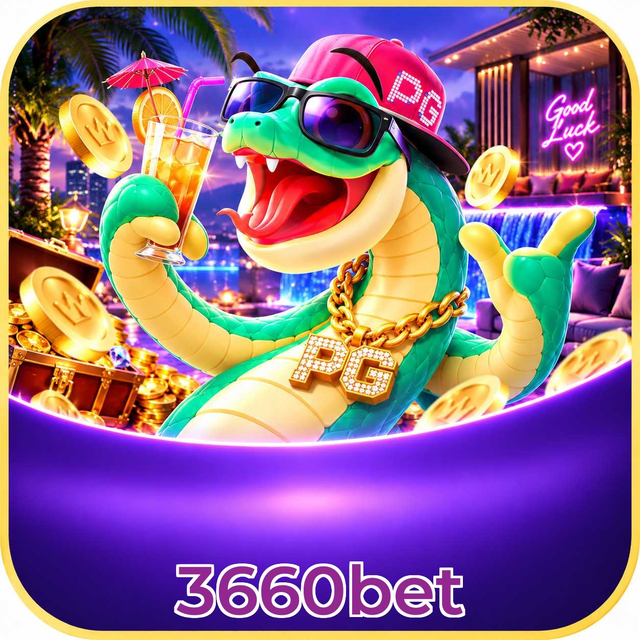 3660bet App vs Web